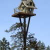 Way Up High Tiny Tree House