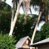 Tiny House Living False Realities: Simple Living Not So Simple?