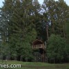 Tiny House Legalized as Observation Tower