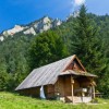 Things to Think About Before Moving into a Tiny House in the Mountains