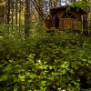 Earthy Tiny Dome Home in the Woods