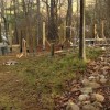 Tiny House Living Perspectives from a Tiny House Family