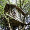 Would You Spend a Night in this Treehouse