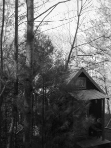 tiny-house-in-black-and-white