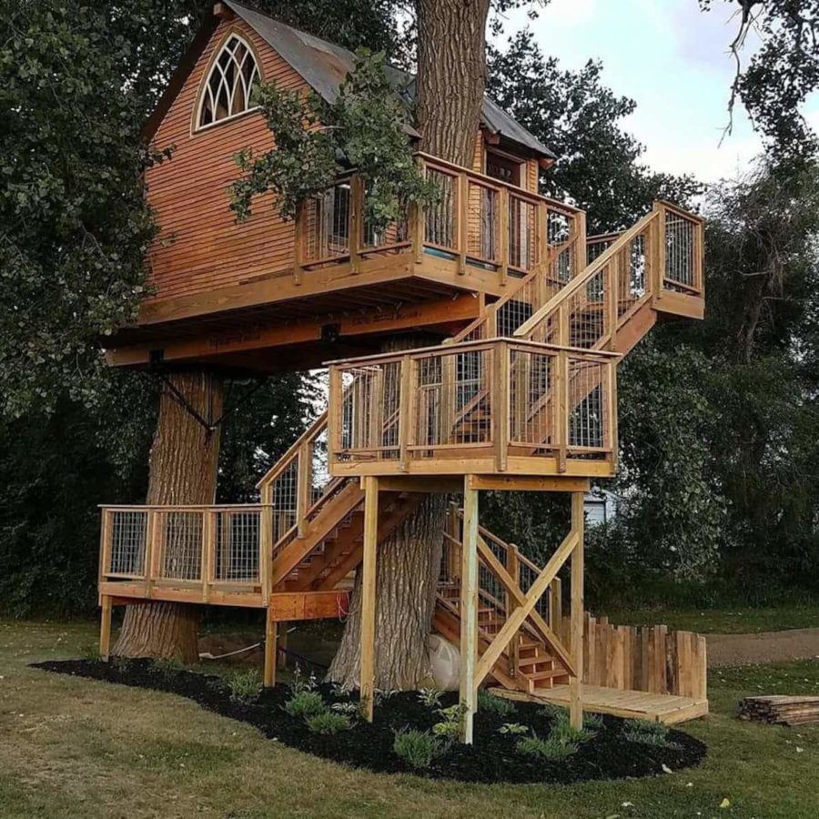 Kottage Knechtion treehouse house B&B