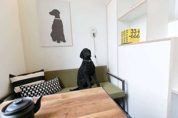 Awesome Dog in a Really Tiny Studio Apartment