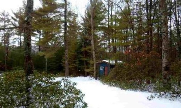 140-sq-ft-tiny-cabin-with-land-for-sale-0004