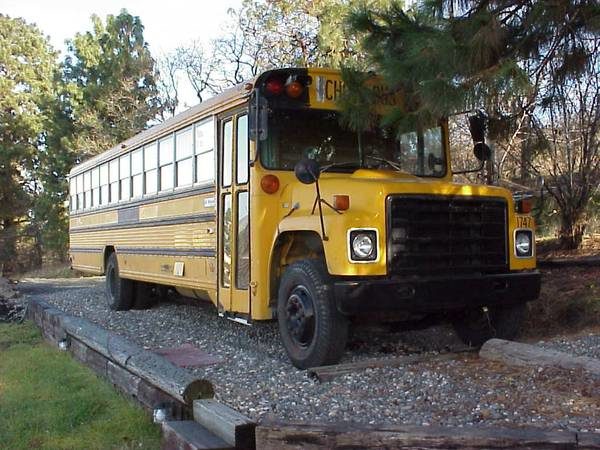 1979 School Bus Conversion For Sale
