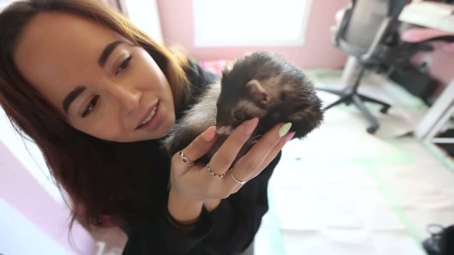 Maya Higa holding her ferret Mushroom in the pink main-floor office of her tiny house