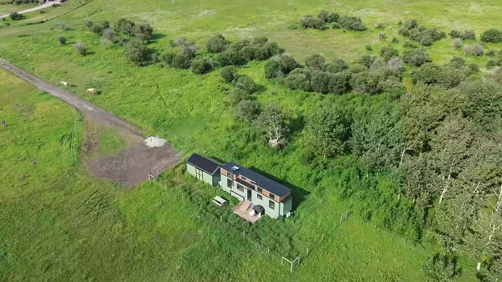 Aerial view of the tiny house and deck in a green pasture with a dirt track and aspen groves