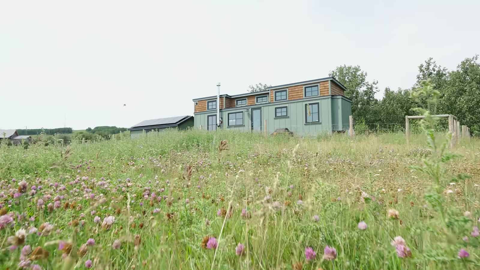 Hayden Mayeur's sage-green tiny house beyond a meadow of wildflowers and clover on the ranch