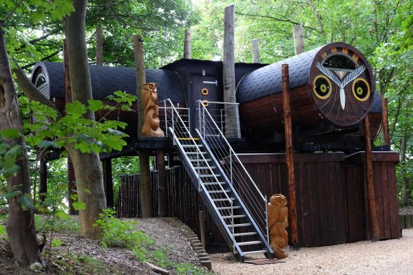 Owl Treehouse with a Slide! 5