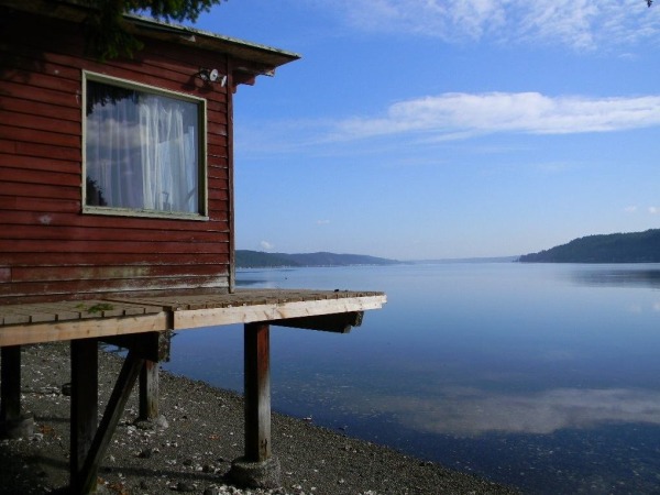 288-sq-ft-waterfront-tiny-cabin-for-sale-002