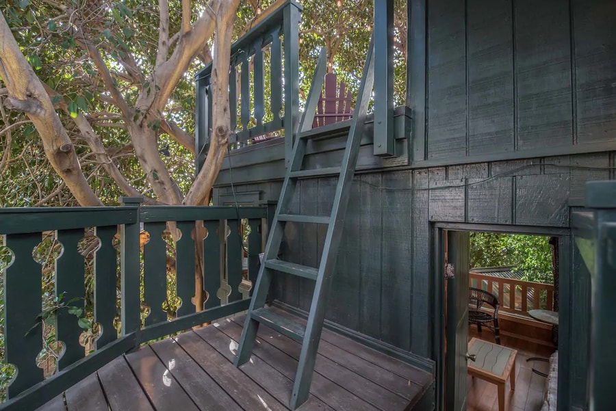Treehouse Adventure with Twisty Slide in CA