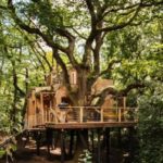 Woodman’s Treehouse with Awesome Copper Tub! 4
