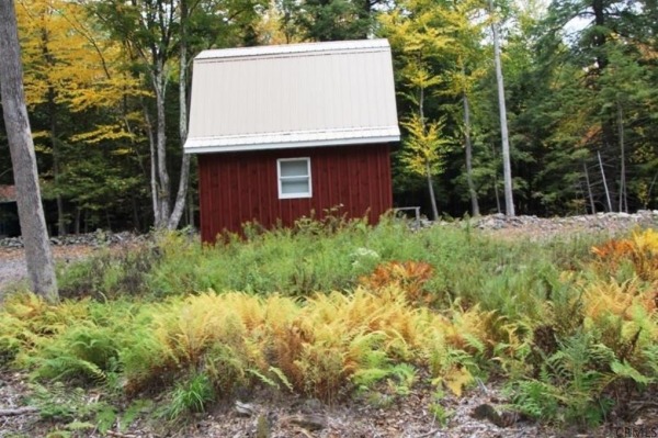 400-sq-ft-tiny-cabin-on-1-acre-for-sale-008