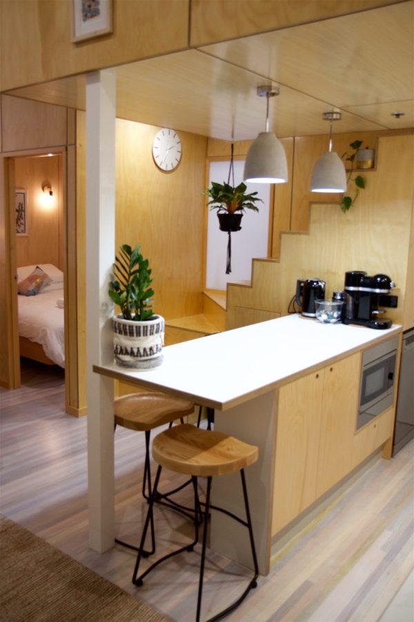 Tiny Apartment Renovation