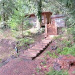 485 Sq. Ft. Cabin For Sale on .33 Acre Lake Front Property 001