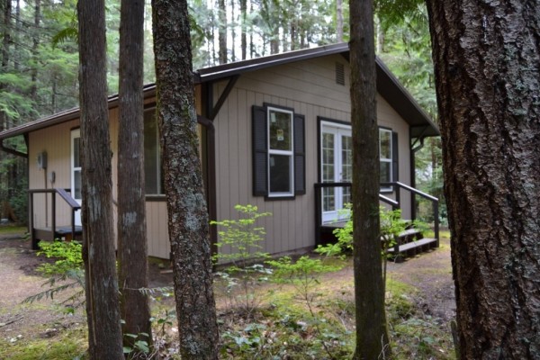 580 Sq. Ft. Tiny Cabin For Sale in Hoodsport, WA 0014
