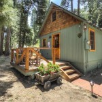 600 SF Wildflower Cabin 001