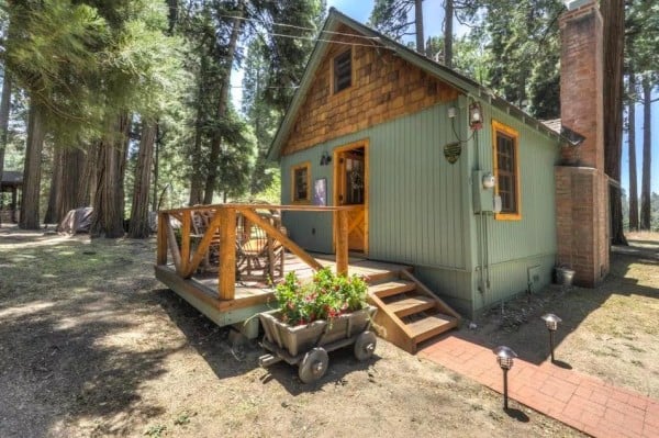 600 SF Wildflower Cabin 001
