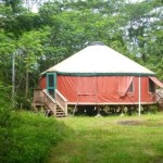 707SF Yurt For Sale in Hawaii on 1 Acre 001