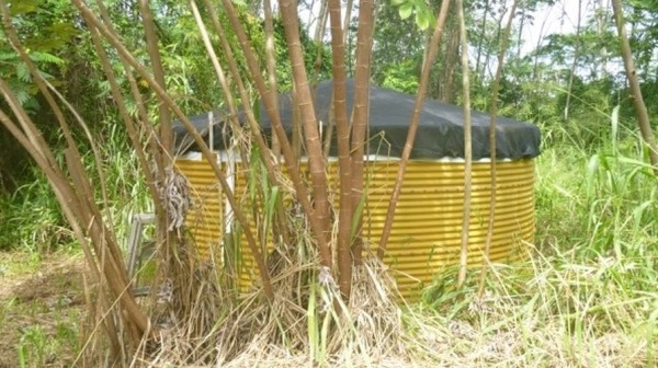 707SF Yurt For Sale in Hawaii on 1 Acre 0014