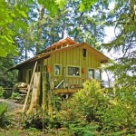 708 sq ft cabin for sale in tahuya wa 0010
