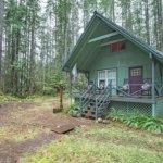 786sf Cabin with Land in Hoodsport Washington via NWMLS Zillow 001