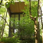 850 sq ft modern cabin in the forest via faircompanies 001