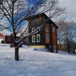 870-sq-ft-18×20-tall-tiny-house-001