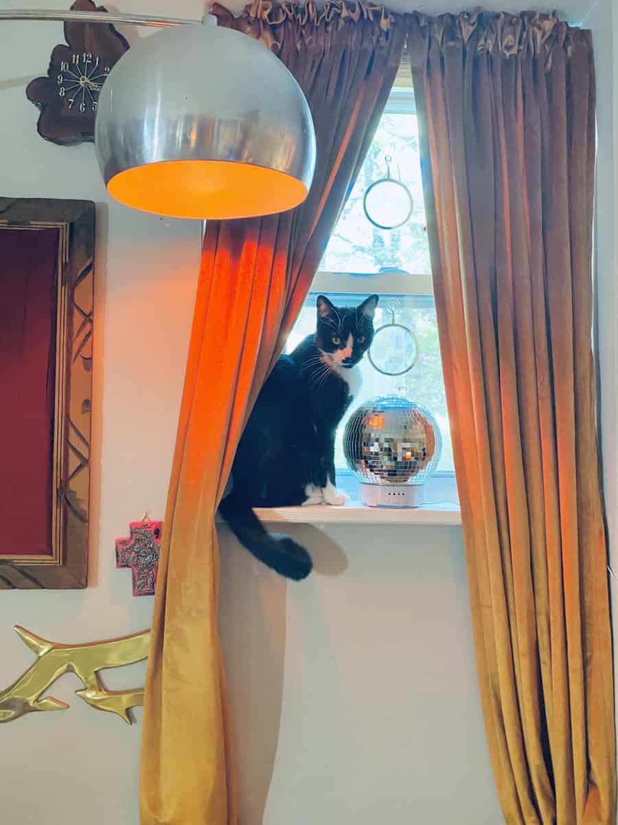 Black and white cat sitting on windowsill with disco ball in vintage-style apartment.