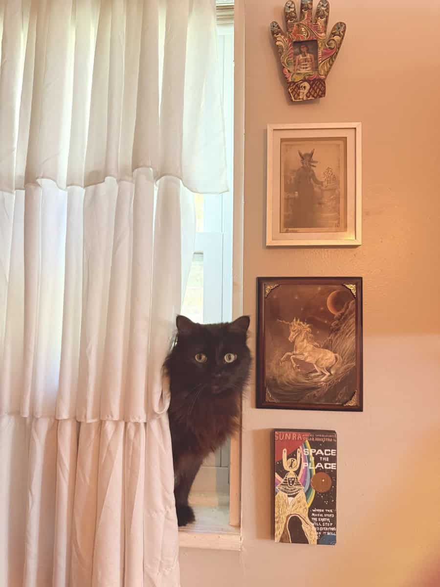 Black cat peeking from behind white curtains in a vintage-filled apartment.