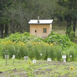 Architect-Designs-Builds-Thoreau-Inspired-Micro-Cabin-for-Client-002