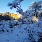 Tiny house surrounded by snow-covered trees and bushes in winter.