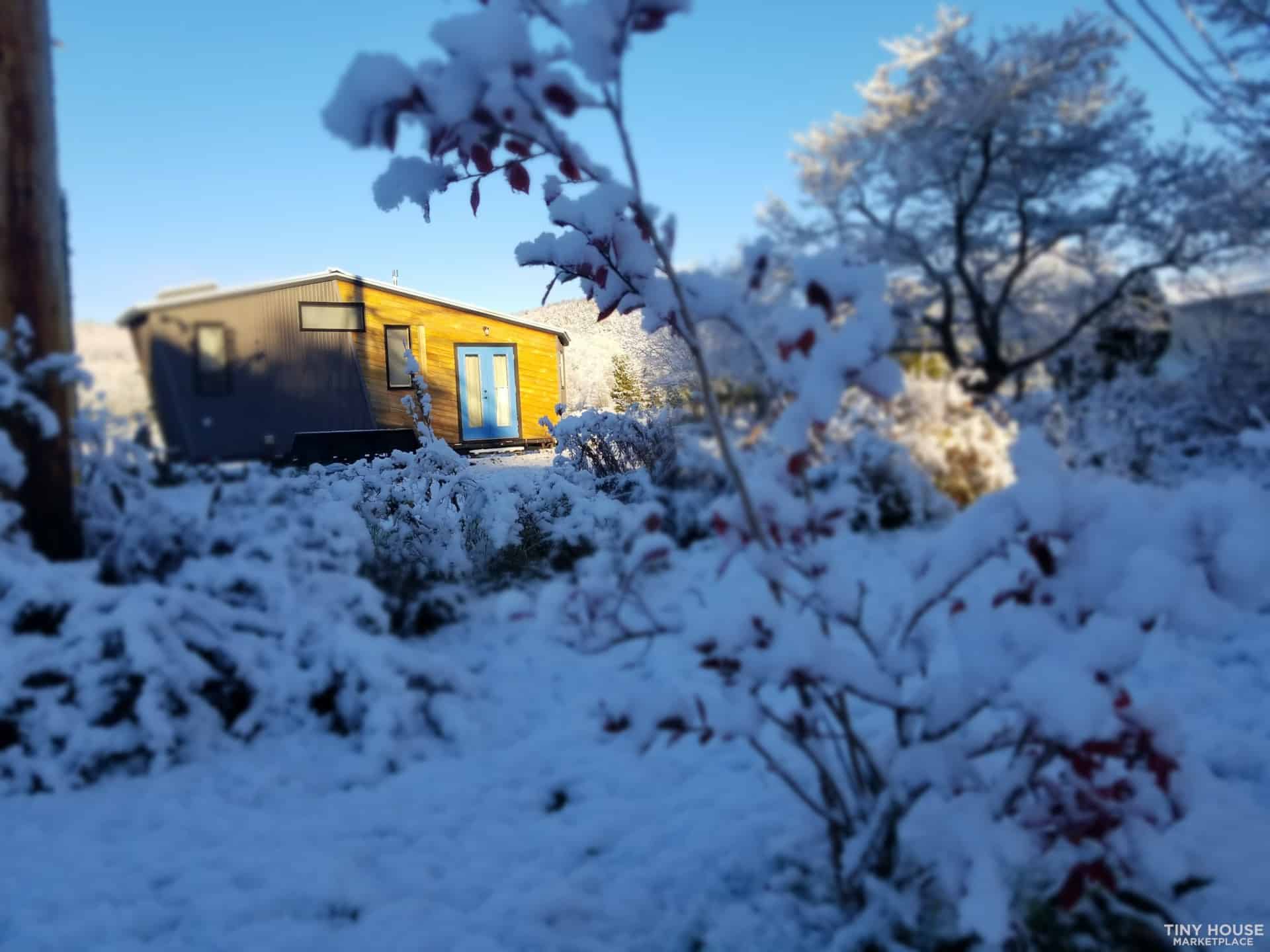 Tiny house surrounded by snow-covered trees and bushes in winter.