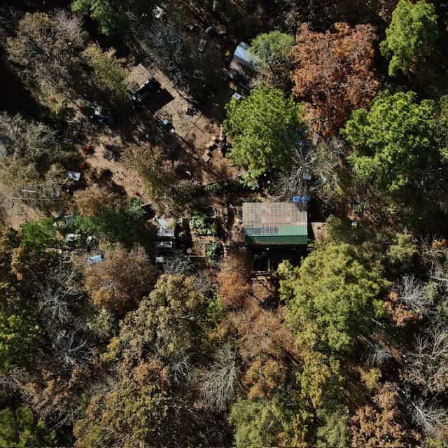 Aerial view of Beloved Cabin Homestead in Middle Georgia showing the cabin, greenhouse and wooded property