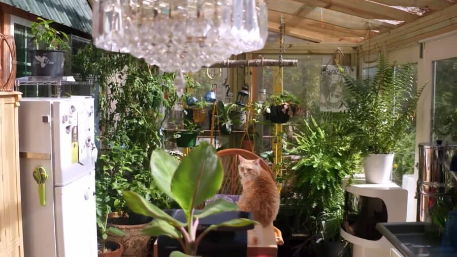 Beloved Cabin w: Greenhouse Kitchen and Bathroomv4