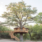 Bibliotheque_Treehouse_Utopia_2018-815