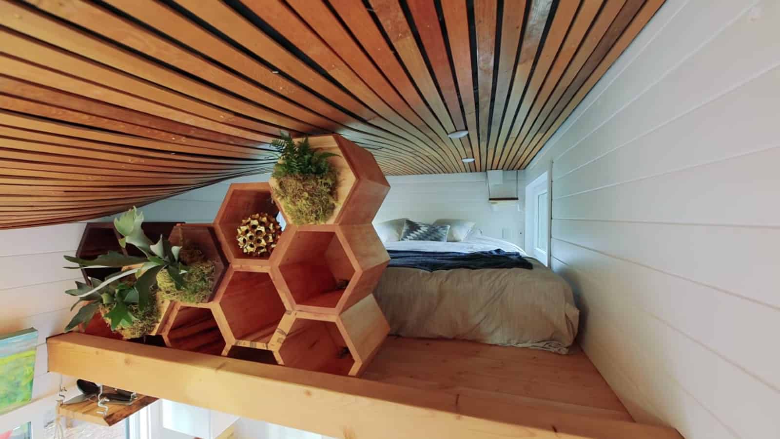 Honeycomb hexagon shelves with ferns and moss along the edge of the sleeping loft