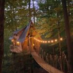 Charming treehouse nestled among trees at Bliss Ridge Farm, featuring mountain views and cozy lighti.