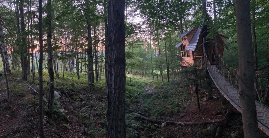 Cozy treehouse nestled among tall trees with mountain views in the background.