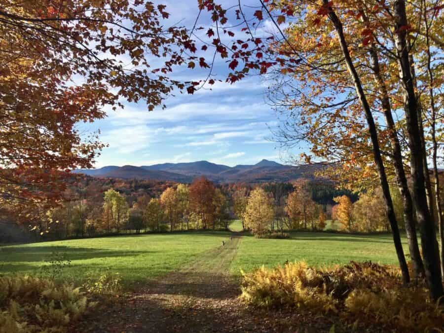 Mountain View from Bliss Ridge Farm Treehouse in Fall.