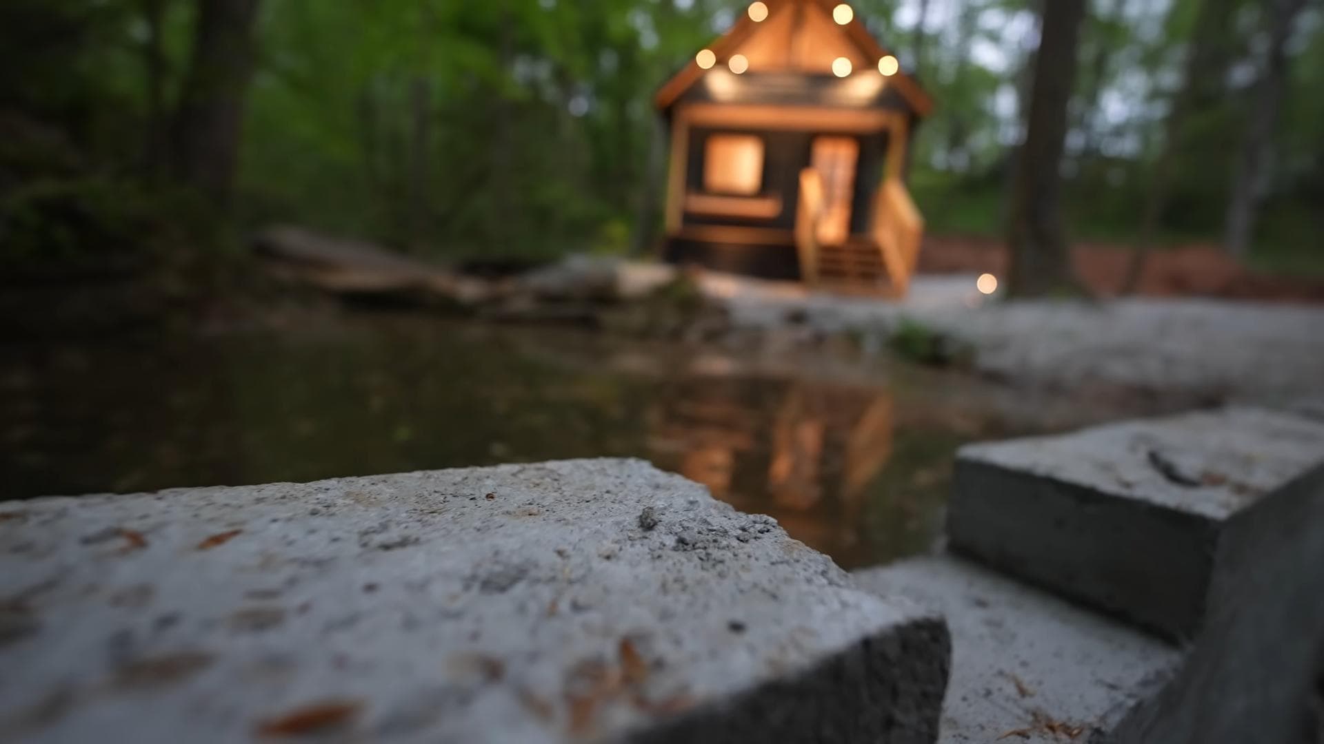 Brothers & Dad Build Off-Grid Cabin in the Woods