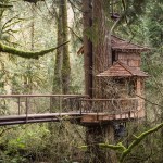 Burl Treehouse at TreeHouse Point 001