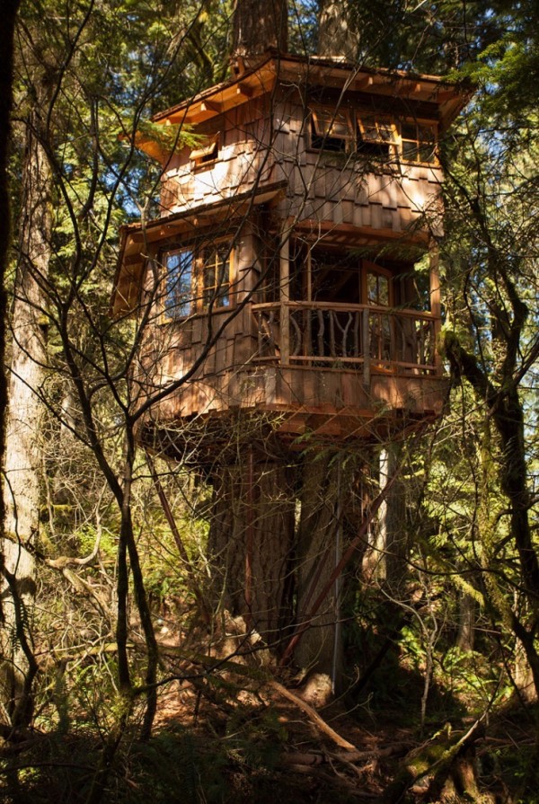 Burl Treehouse at TreeHouse Point 006