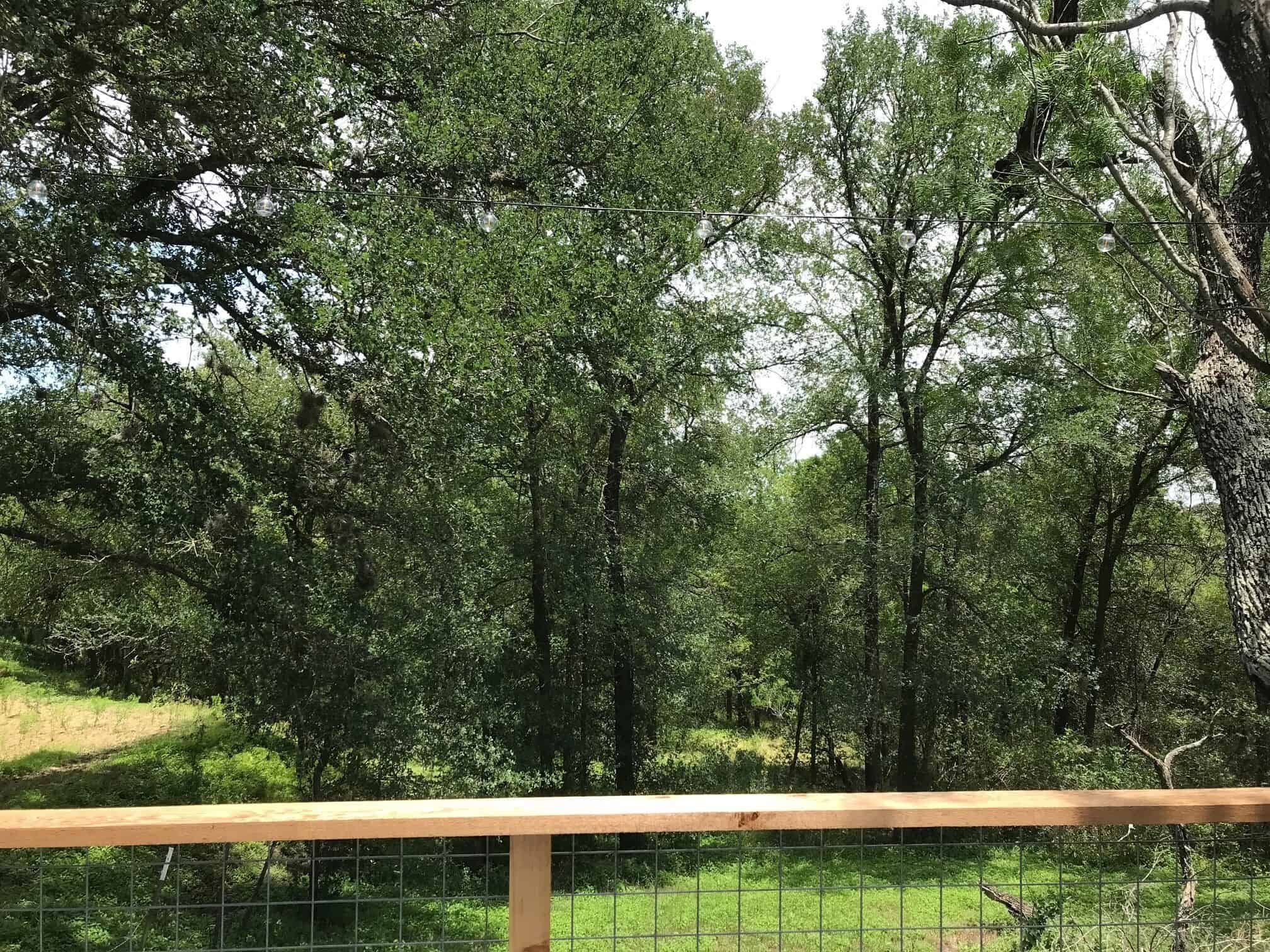 Wooded view from the deck railing at The Cabin at Spencer Ranch