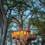 Carousel_Treehouse_Utopia_2018-750
