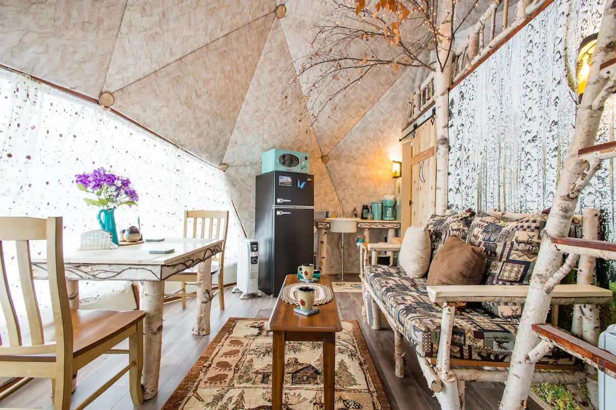 Catskill Domeo with Birchwood Aesthetic