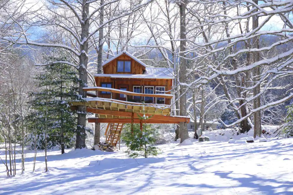 Celesterra Treehouse at a Vegetarian Retreat 001